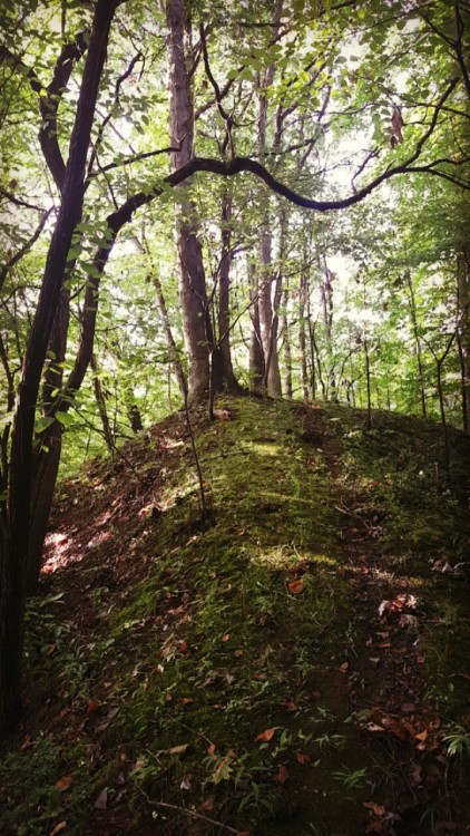 greensarah:  Camping with @couldbenewzeitgeist ðŸŒ³ðŸƒðŸƒðŸƒðŸ’šðŸ’šðŸ’šðŸ’›ðŸ’™ðŸ’šðŸ’šðŸ’šðŸƒðŸƒðŸƒðŸŒ³ 