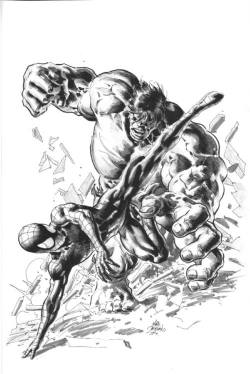 bear1na:  The Hulk vs Spider-Man by Mike Deodato Jr.