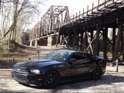 justthecoolestmustangs:  Submission: