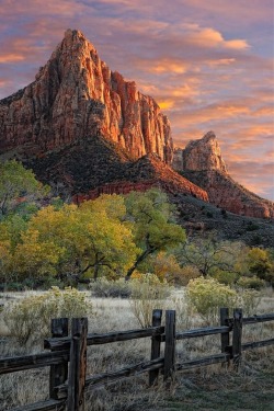 renamonkalou:    Zion National Park | Utah Images