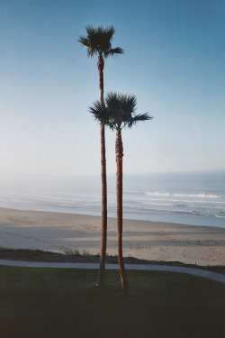 lvndcity:  Pismo Beach, California by Christian Storm (2011)