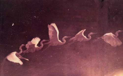 magictransistor:  Ã‰tienne-Jules Marey. Flight of the Heron.1883. 