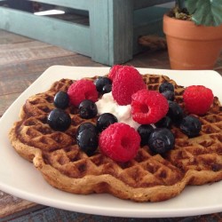 blogilates:  Want some? In my protein waffle today: ½