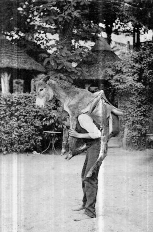 Homme portant un âne aux guinguettes du Plessis-Robinson, Hauts-de-Seine.