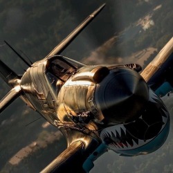 Steelhorse