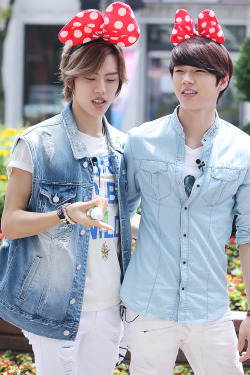 iris4289:  DONGWOO @ KBS Live Tong Plus Recording at Seoul Land