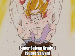 clown-from-the-neck-down:  All canon incarnations of Super Saiyan.