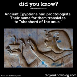 did-you-kno:  Ancient Egyptians had proctologists. Their name