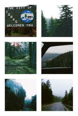 paternalpadfoot:  The Twilight Saga Challenge: 3 locations-