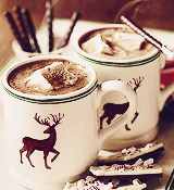 eldey-inactive:  Favourite things: Hot chocolate 