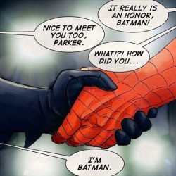 #batman #spiderman #marvelcomics #dccomics
