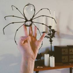 tick-tock-around-the-clock:  sosuperawesome:  Crystal Spider