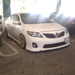 whoaguy:  Caught this new corolla in the parking lot. Looks slick