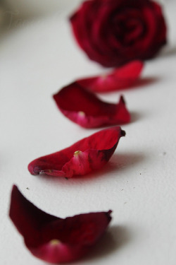 undercoverdiva:  Scarlet on Flickr. 