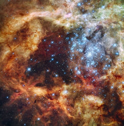 just–space:  Grand star-forming region R136 in NGC 2070