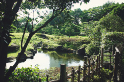 turbinis:  Fresh start by Moeko Munaretto on Flickr. 