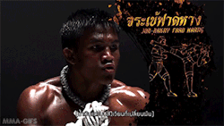 kungfutaichworld:    Muay Thai is referred to as the “Art of