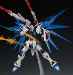 gunjap:  FULL REVIEW: P-Bandai MG 1/100 EXPANSION EFFECT SET