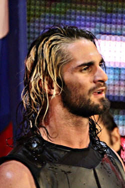 sethrollinsitalia-deactivated20: ©