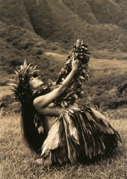 vensuberg: The hula has been too commodified to be of much interest,