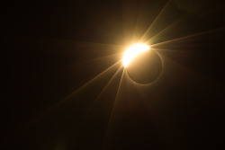 bobcronkphotography:  Solar Eclipse - Portland, Oregon, August