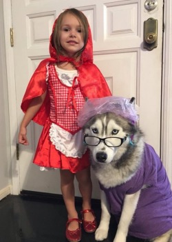 tastefullyoffensive:  Early contenders for best Halloween costume.