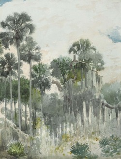 thunderstruck9:  Winslow Homer (American, 1836-1910), Florida