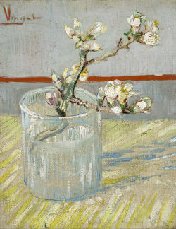 likeafieldmouse:  Vincent van Gogh - Sprig of Flowering Almond