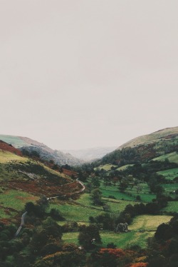 south-england:  Road through the Welsh valley »» Thomas Hanks