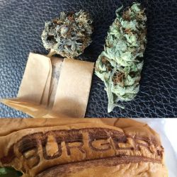 weedporndaily:  Lunch with my bro @arghkade #curbsidecertified