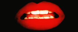 rockyhorrororg:  televisedwar:  The Rocky Horror Picture Show