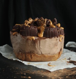 randy-gets-swole:  do-not-touch-my-food:  Chocolate Peanut Butter