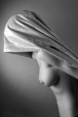 Elegant Saliciousness