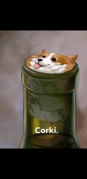 blessedimagesblog:Blessed_corki