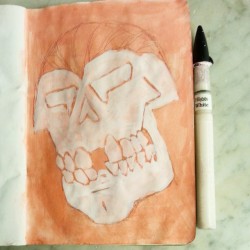 Sketchbook Project 2015. Skulls. More white undies over the peachy