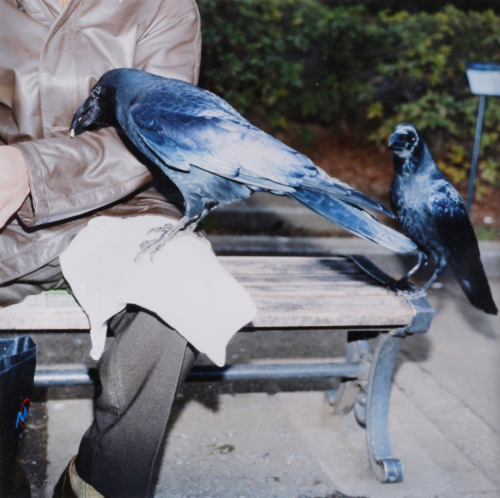 wtxch:Rinko Kawauchi (Japanese, b. 1972)Aila #95, 2004