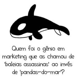 kurolove:  E Orcas são da família dos golfinhos :3