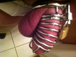 huntingtonsilver:  Second trial of my chastity device. It’s