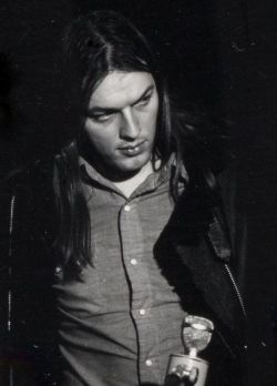 more-relics:  David Gilmour    © Fernand Michaud  