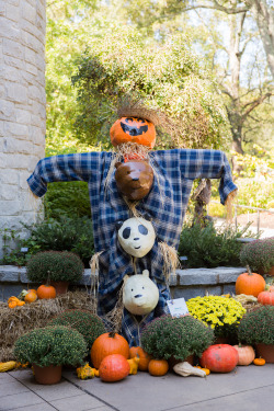 We Bare Bears Bearcrow at the Atlanta Botanical Gardens