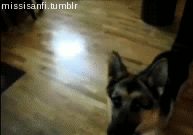 Just Funny Pictures