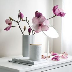 https://web.stagram.com/scandihome