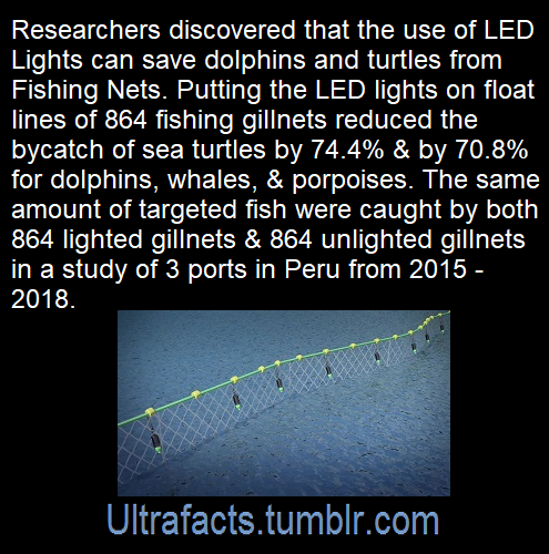 ultrafacts:  Source: [x]Click HERE for more facts!