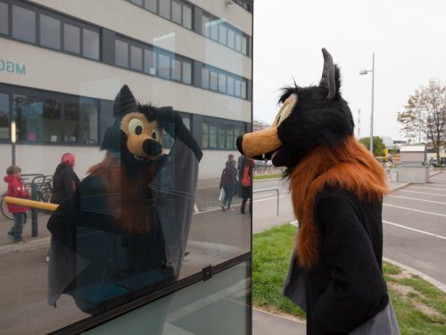 Austin needs this guy, what with all the bats and all here.  akahiotter:  fursuitswag:  How did I not see this awesome bat fursuit before? Fursuiter Fursuit Maker (I think)   Awesome suit! Love the glow in the dark eyes