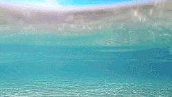 WaterBaby’s World