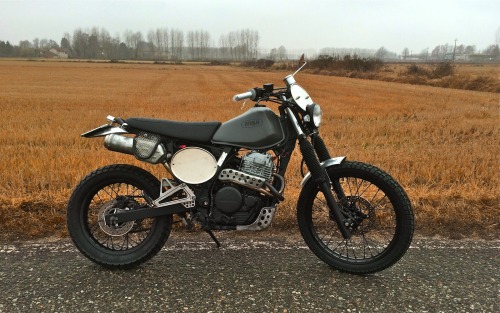 caferacerpasion:  Honda NX650 Scrambler by Aniba Motorcycles | www.caferacerpasion.com