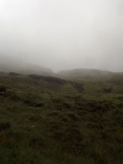 sfitzgerald-art:  June in Ireland, dense fog. 