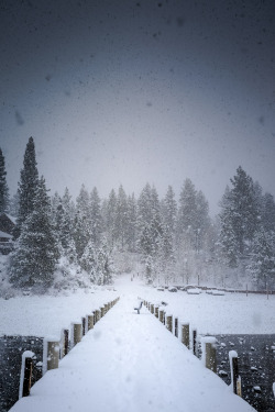 mbphotograph:  Standing in the snow storm of Tahoe, CaliforniaFollow