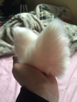 My neko ears came in the mail!! They’re so cute and fuzzy