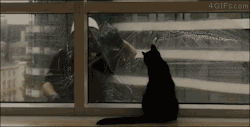 4gifs:   The window washer’s favorite apartment. [videos]